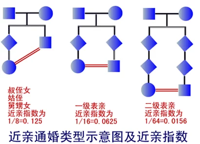 艳母伦理：分析家庭关系中禁忌与道德的复杂交织及其对社会观念的影响